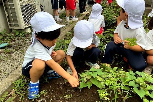マリヤこども園(千葉県八千代市)