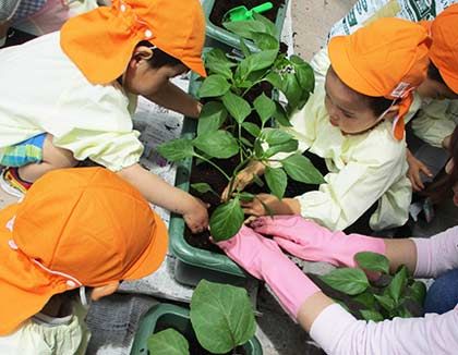 岡喜子どもの城 片平(愛知県名古屋市緑区)