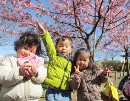 CocoSmileアリオ葛西園(東京都江戸川区)