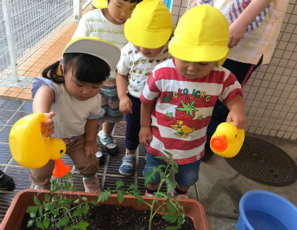 あそびのてんさい新河岸第3保育園(埼玉県川越市)
