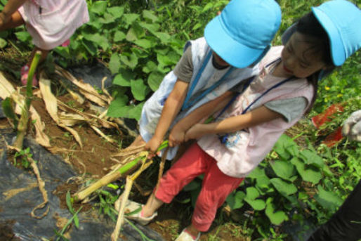 baby home(神奈川県川崎市中原区)