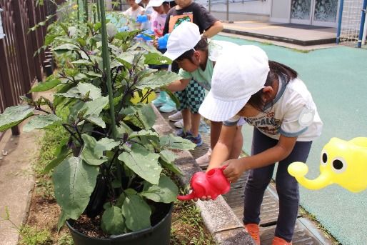 戸塚しらぎく保育園(埼玉県川口市)