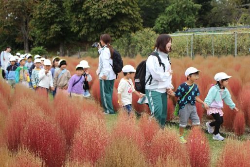 戸塚しらぎく保育園(埼玉県川口市)