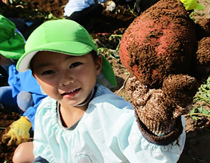 認定こども園野間幼稚園(鹿児島県熊毛郡中種子町)