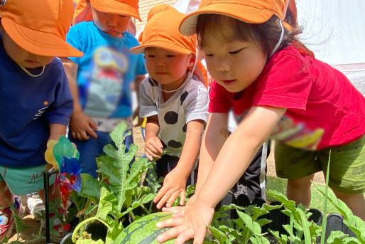 流山こばと保育園(千葉県流山市)