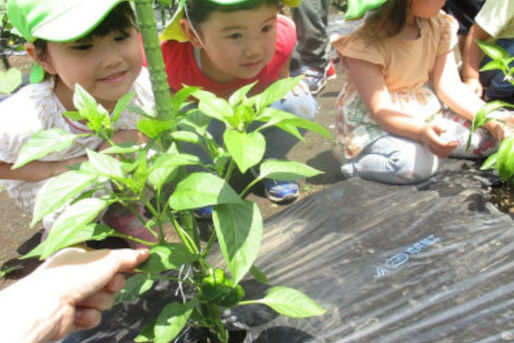 川井宿幼保連携型認定こども園(神奈川県横浜市旭区)