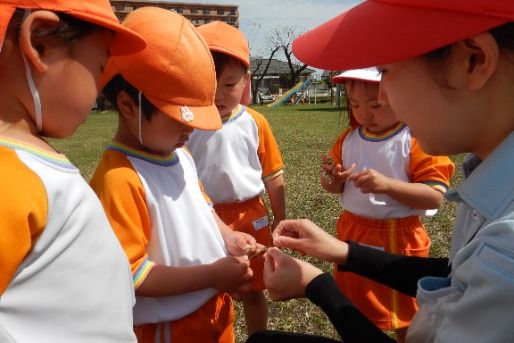 よいこのもり幼保連携認定こども園(宮崎県宮崎市)