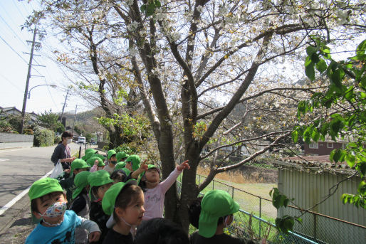 セイユウモンテッソーリこども園(静岡県静岡市)