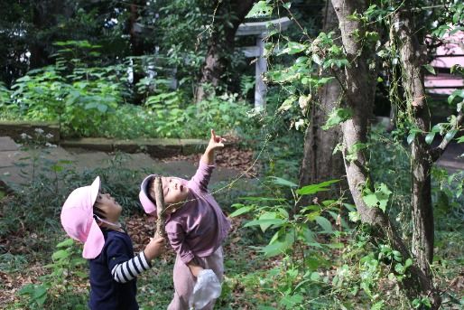 代々木至誠こども園(東京都渋谷区)
