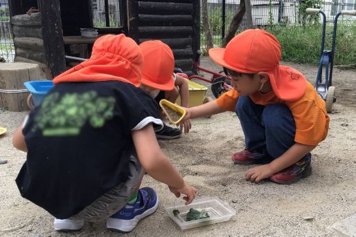 赤堤ゆりの木保育園(東京都世田谷区)