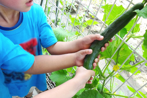 幼保連携型認定こども園枦谷つぐみ保育園(兵庫県神戸市西区)
