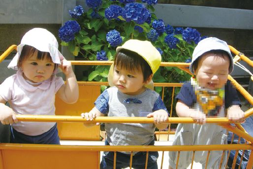 寄居こども園(新潟県新潟市中央区)