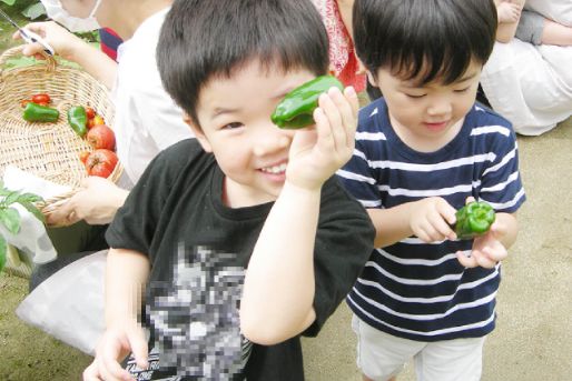 寄居こども園(新潟県新潟市中央区)