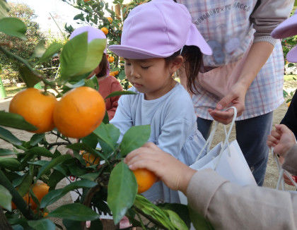 みくになかよしこども園(千葉県柏市)