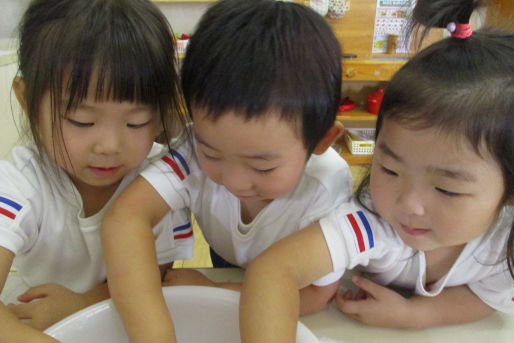 幼保連携型認定こども園小ざくら保育園(岡山県倉敷市)