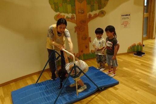 麻生ゆりのき保育園(神奈川県川崎市麻生区)