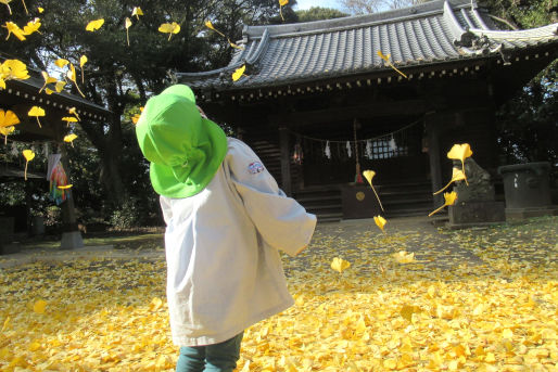 梨の花保育園(千葉県松戸市)