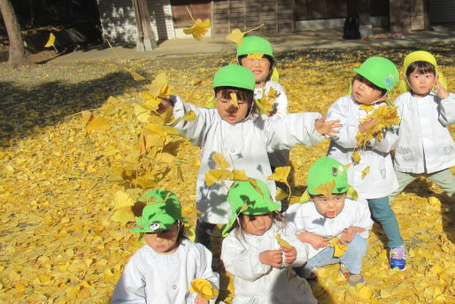 梨の花保育園(千葉県松戸市)
