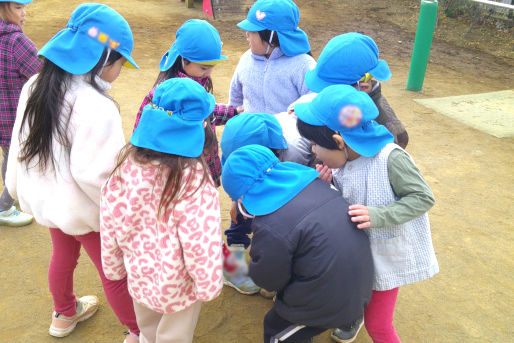 梨の花保育園(千葉県松戸市)