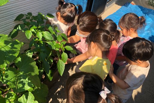 北沢みこころ保育園(東京都世田谷区)