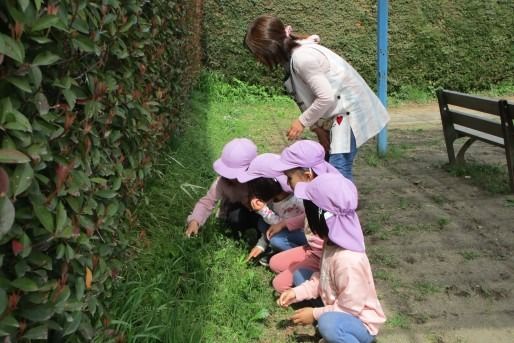 いづみ愛児園(東京都東村山市)