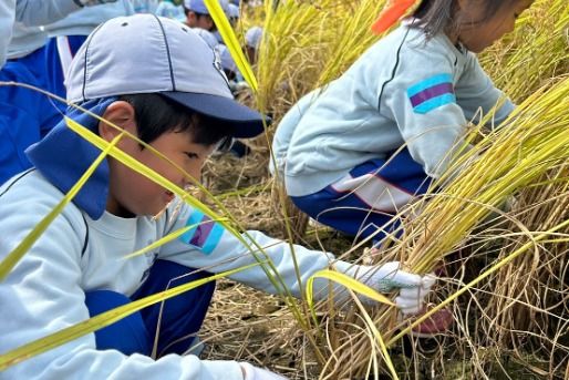 バディスポーツ幼児園世田谷(東京都世田谷区)