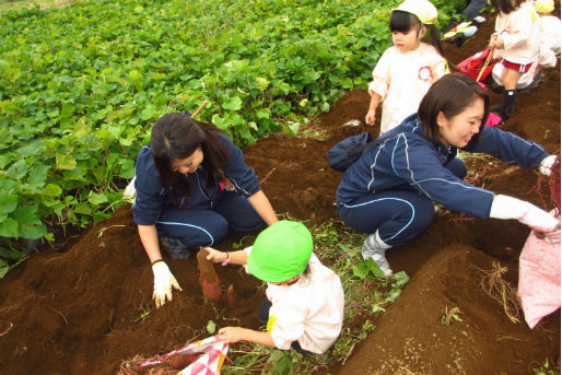 篠崎保育園(東京都江戸川区)
