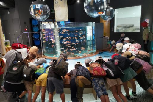 廿日市くすのき幼稚園(広島県廿日市市)