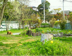 しらぎく幼稚園(福岡県福津市)