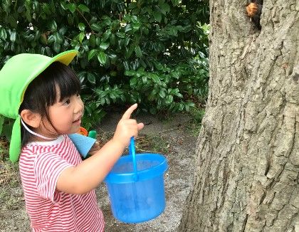 西大宮はばたき保育園(埼玉県さいたま市西区)