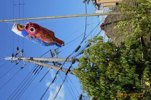 高野川保育園(京都府京都市左京区)