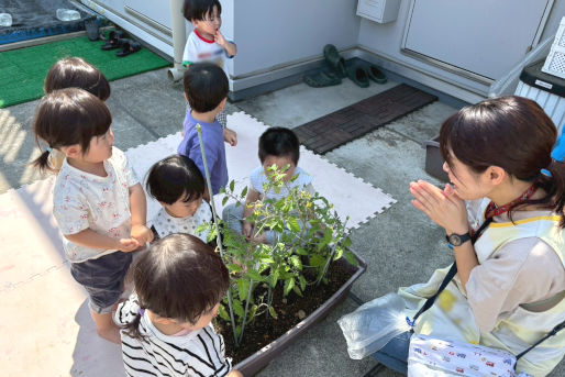 ほほえみさくら保育園(神奈川県海老名市)