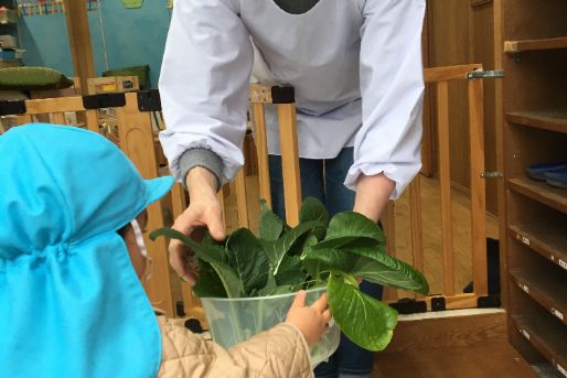 空と虹の家保育園(東京都世田谷区)