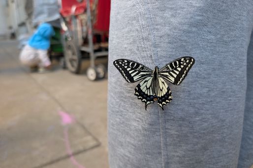 空と虹の家保育園(東京都世田谷区)