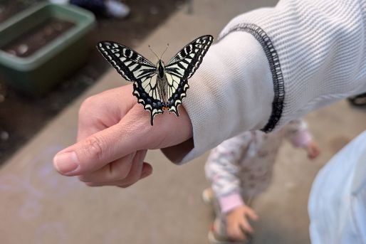 空と虹の家保育園(東京都世田谷区)