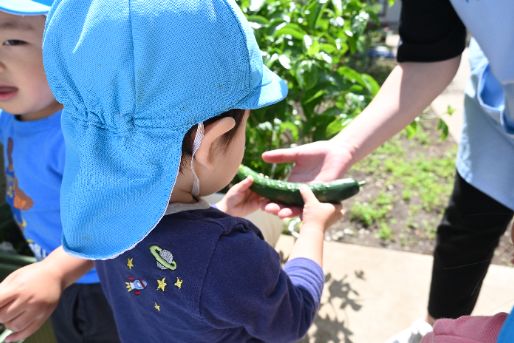 空と虹の家保育園(東京都世田谷区)