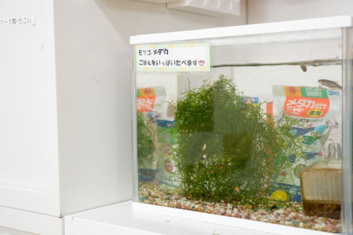 こぱんはうすさくら 流山教室(千葉県流山市)