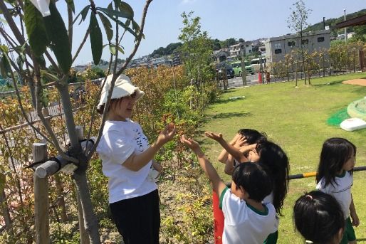 キッズツリーハウス 認定こども園本郷(愛知県日進市)