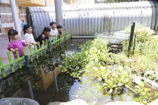 認定こども園こまつばら幼稚園(鹿児島県鹿児島市)