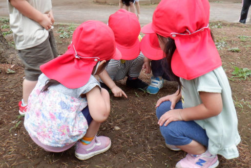 大禮保育園(東京都板橋区)