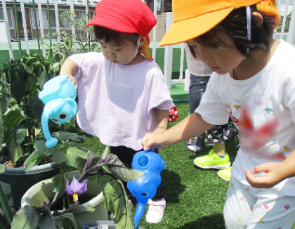 カラーズつきのき園(宮城県柴田郡柴田町)