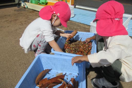社会福祉法人神教福祉会　ぶどうの木保育園（本園・羽沢・新桜台）(東京都練馬区)