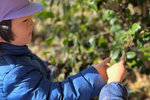 社会福祉法人神教福祉会　ぶどうの木保育園（本園・羽沢・新桜台）(東京都練馬区)