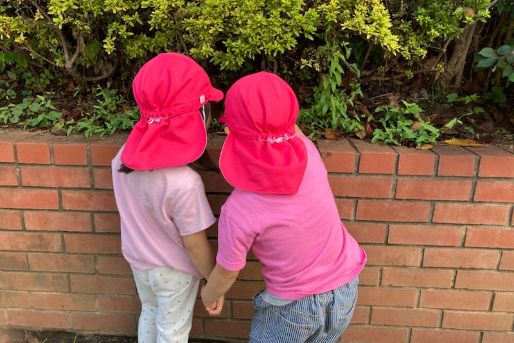 社会福祉法人神教福祉会　ぶどうの木保育園（本園・羽沢・新桜台）(東京都練馬区)