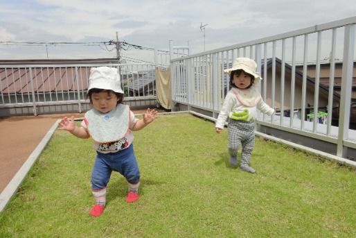 社会福祉法人神教福祉会　ぶどうの木保育園（本園・羽沢・新桜台）(東京都練馬区)