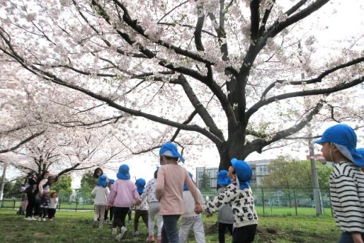 社会福祉法人神教福祉会　ぶどうの木保育園（本園・羽沢・新桜台）(東京都練馬区)