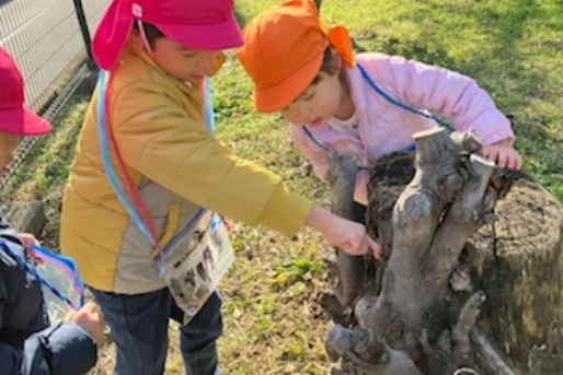 社会福祉法人神教福祉会　ぶどうの木保育園（本園・羽沢・新桜台）(東京都練馬区)