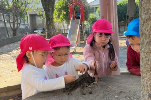 社会福祉法人神教福祉会　ぶどうの木保育園（本園・羽沢・新桜台）(東京都練馬区)