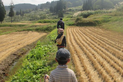 わらしこ保育園(東京都府中市)