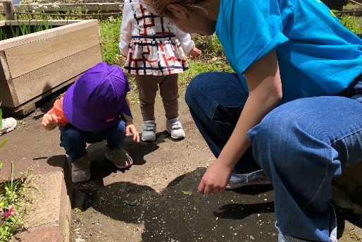 アオバジャパン・バイリンガルプリスクール晴海キャンパス(東京都中央区)